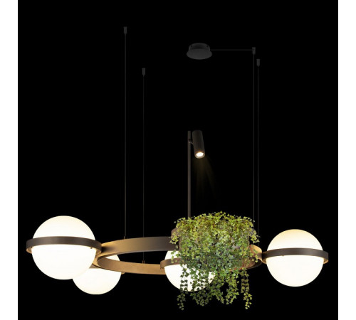 Подвесная люстра Loft IT Jardin 10121/4 Dark grey Подвесная люстра Loft IT Jardin 10121/4 Dark grey