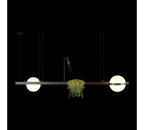 Подвесная люстра Loft IT Jardin 10121/D Dark grey Подвесная люстра Loft IT Jardin 10121/D Dark grey