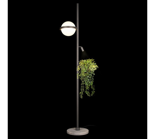 Торшер Loft IT Jardin 10121/F Dark grey Торшер Loft IT Jardin 10121/F Dark grey