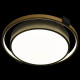 Потолочный светильник Loft IT Mike 10169