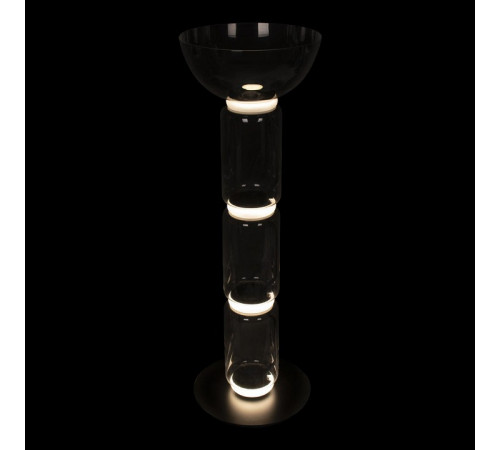 Торшер Loft IT Noctambule 10192F/M