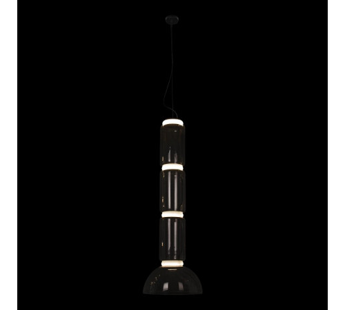 Торшер Loft IT Noctambule 10192F/L