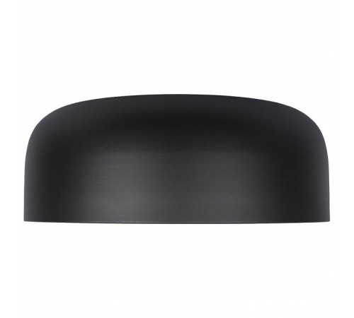 Потолочный светильник Loft IT Axel 10201/480 Black