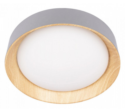 Потолочный светильник Loft IT Coin 10202 Grey