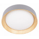 Потолочный светильник Loft IT Coin 10202 Grey