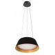 Подвесной светильник Loft IT Evans 10224P Black