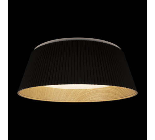Потолочный светильник Loft IT Evans 10224 Black Потолочный светильник Loft IT Evans 10224 Black
