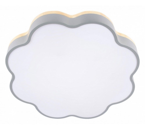 Потолочный светильник Loft IT Axel 10225/36 Grey
