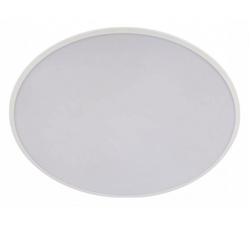 Потолочный светильник Loft IT Brim 10226 White