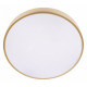 Потолочный светильник Loft IT Flims 10228/A