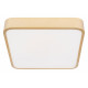 Потолочный светильник Loft IT Flims 10228/C