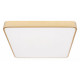 Потолочный светильник Loft IT Flims 10228/D