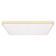 Потолочный светильник Loft IT Flims 10228/E