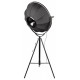Торшер Loft IT Studio 10301/M