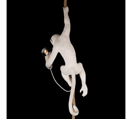 Подвесной светильник Loft IT Monkey 10314P