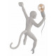 Настенный светильник Loft IT Monkey 10314W/A