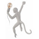 Настенный светильник Loft IT Monkey 10314W/B