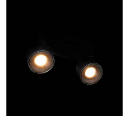 Накладной спот Loft IT Focus 10323/2A Black