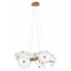 Подвесная люстра Loft IT Bloom 10352/650 AB