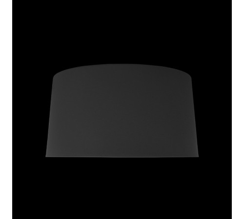 Потолочный светильник Loft IT Duo 10360M Grey Потолочный светильник Loft IT Duo 10360M Grey