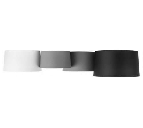 Потолочный светильник Loft IT Duo 10360/4 Потолочный светильник Loft IT Duo 10360/4