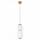 Подвесной светильник Loft IT Duff 10422/A