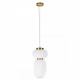 Подвесной светильник Loft IT Duff 10422/B