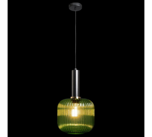 Подвесной светильник Loft IT IRIS 2072-B+BL