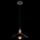Подвесной светильник LOFT IT Factory filament Loft1101