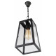 Подвесной светильник LOFT IT Modern filament Loft1127
