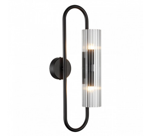 Настенный светильник Lumion Toronto 6561/2W