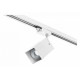 Адаптер для шинопровода Lightstar Asta 592256