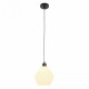 Подвесной светильник Myfar Beata MR2260-1P