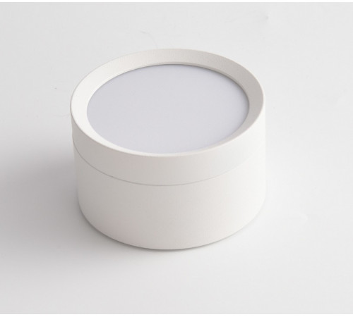 Потолочный светильник Maytoni Technical Hoop C086CL-GX53-SRD-W Потолочный светильник Maytoni Technical Hoop C086CL-GX53-SRD-W
