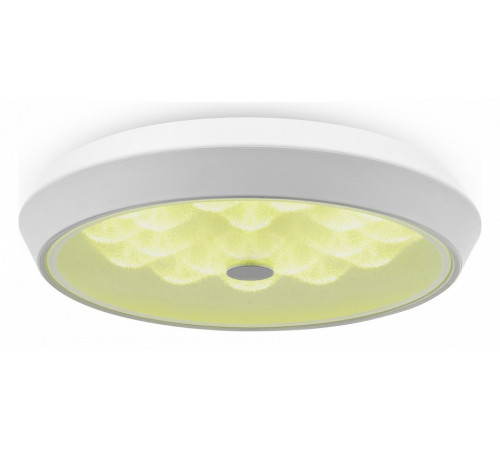 Потолочный светильник Freya Cells FR10012CL-L24W