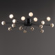 Потолочная люстра Freya Celebrity FR5242CL-16B1