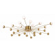 Потолочная люстра Freya Celebrity FR5242CL-24BS1