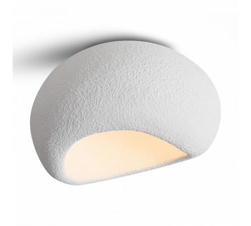 Потолочный светильник Freya Mound FR5428CL-01W