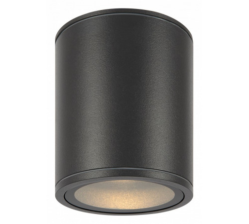 Уличный потолочный светильник Maytoni Bar O306CL-L12GF
