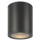 Уличный потолочный светильник Maytoni Bar O306CL-L12GF