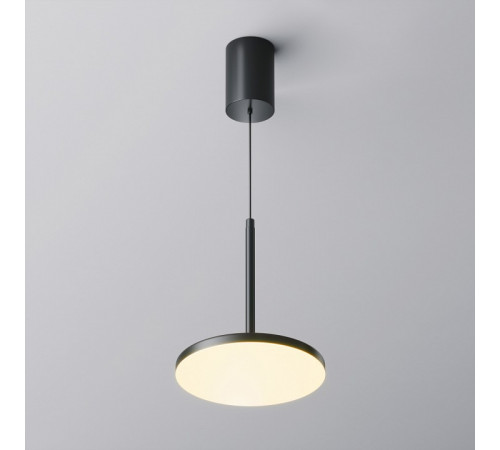 Подвесной светильник Maytoni Plato P076PL-L12W3K-B Подвесной светильник Maytoni Plato P076PL-L12W3K-B