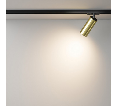 Трековый однофазный светильник Maytoni Focus Led TR021-1-12W3K-W-BBS