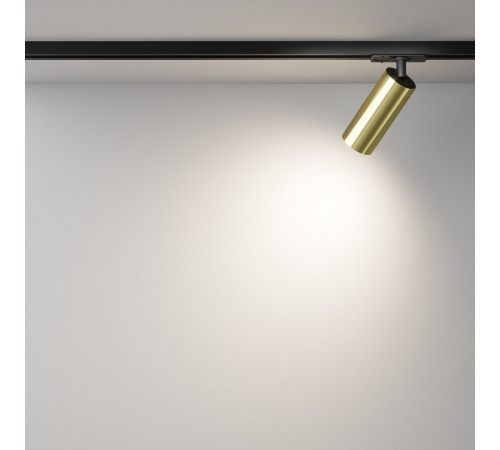 Трековый однофазный светильник Maytoni Focus Led TR021-1-12W4K-W-BBS