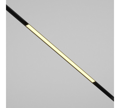 Трековый магнитный светильник Maytoni Basis TR030-2-24W2.7K-B