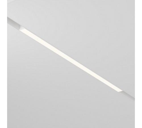 Трековый светодиодный светильник Maytoni Technical Basis TR030-2-24W3K-B