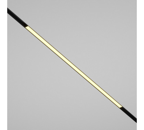 Трековый магнитный светильник Maytoni Basis TR030-2-30W2.7K-B