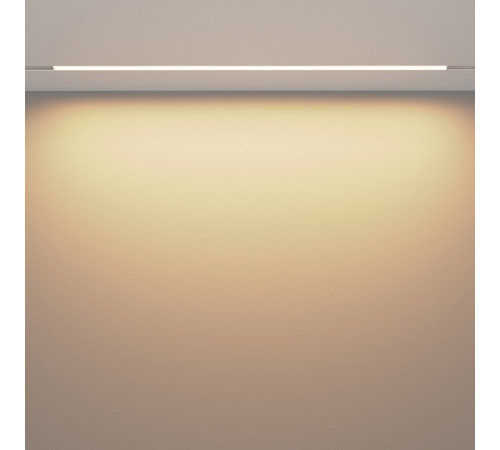 Трековый магнитный светильник Maytoni Basis TR030-4-30WTW-DSZ-W