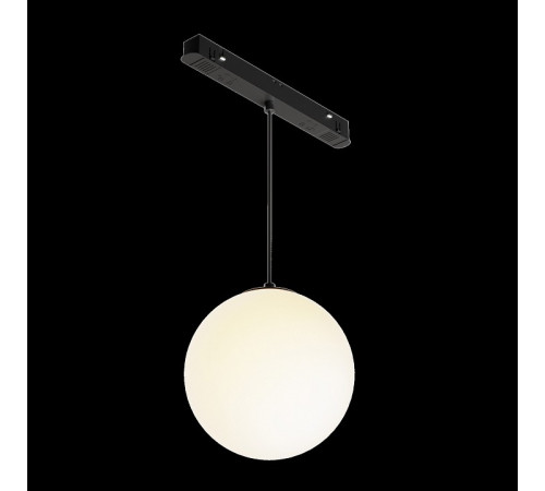 Трековый подвесной светильник Maytoni Luna TR039-2-5W3K