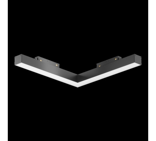 Трековый магнитный светильник Maytoni Basis TR078-2-24W4K-B