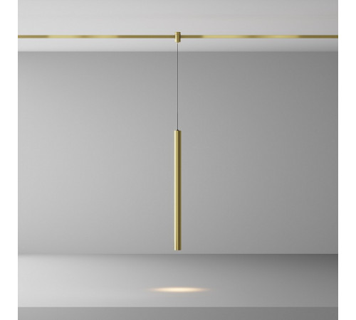 Трековый магнитный светильник Maytoni Focus LED TR156-1-5W3K-BS